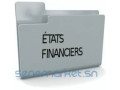 elaboration-des-etats-financiers-pour-les-pmepmi-small-0