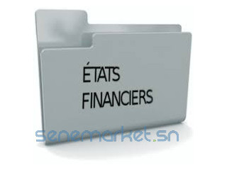 ELABORATION DES ETATS FINANCIERS POUR LES PME/PMI
