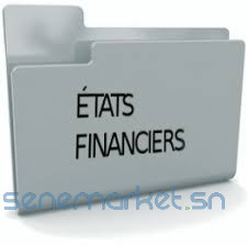 elaboration-des-etats-financiers-pour-les-pmepmi-big-0