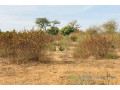 terrain-agricole-de-128-hectare-vers-sindia-small-1