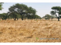 terrain-agricole-de-164-hectare-vers-tassette-small-1