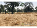 terrain-agricole-de-164-hectare-vers-tassette-small-2
