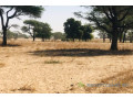 terrain-agricole-de-164-hectare-vers-tassette-small-0