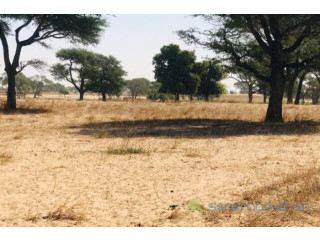 Terrain agricole de 1,64 hectare vers Tassette