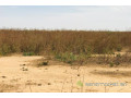 terrain-agricole-de-199-hectare-vers-notto-diobass-small-2