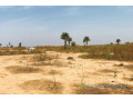 terrain-agricole-de-199-hectare-vers-notto-diobass-small-1