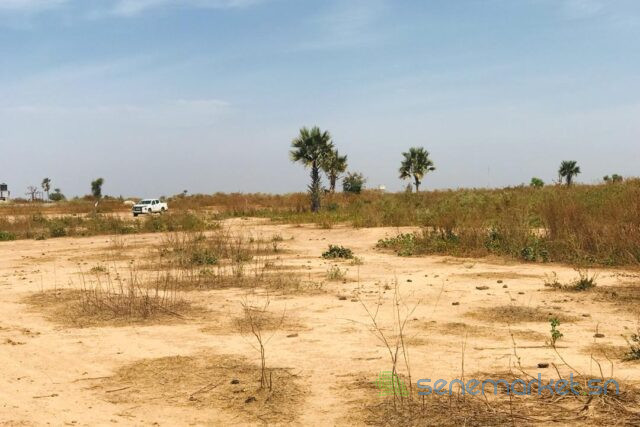 terrain-agricole-de-199-hectare-vers-notto-diobass-big-1