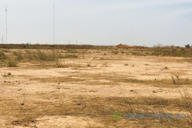 terrain-agricole-de-199-hectare-vers-notto-diobass-big-0