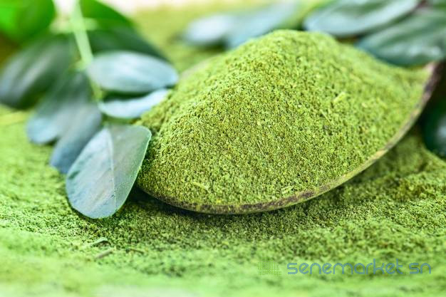 poudre-de-moringa-bio-big-1