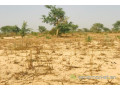 terrain-agricole-de-215-hectares-vers-meouane-small-2