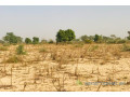 terrain-agricole-de-215-hectares-vers-meouane-small-0