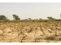 terrain-agricole-de-215-hectares-vers-meouane-small-1