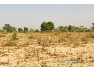 Terrain Agricole de 2,15 hectares vers Méouane