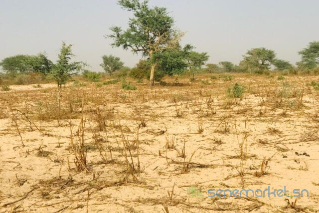 terrain-agricole-de-215-hectares-vers-meouane-big-2