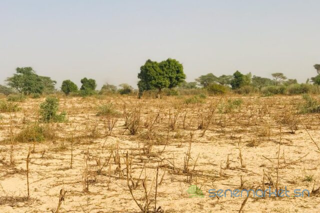 terrain-agricole-de-215-hectares-vers-meouane-big-0