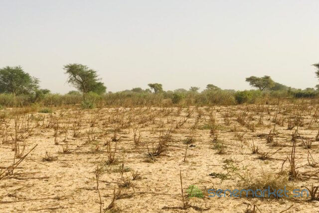 terrain-agricole-de-215-hectares-vers-meouane-big-1
