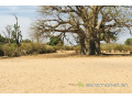 terrain-agricole-de-3502-m2-vers-notto-diobass-small-2