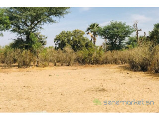 Terrain Agricole de 3502 m² vers Notto Diobass