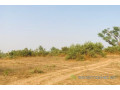 terrain-agricole-de-39-hectares-vers-koul-small-2