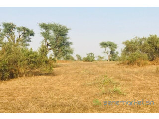 Terrain Agricole de 39 hectares vers Koul