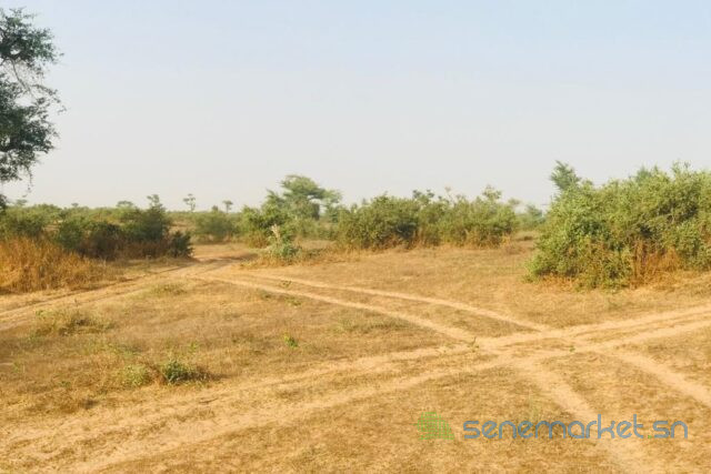 terrain-agricole-de-39-hectares-vers-koul-big-1