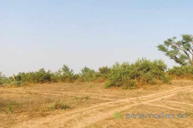 terrain-agricole-de-39-hectares-vers-koul-big-2