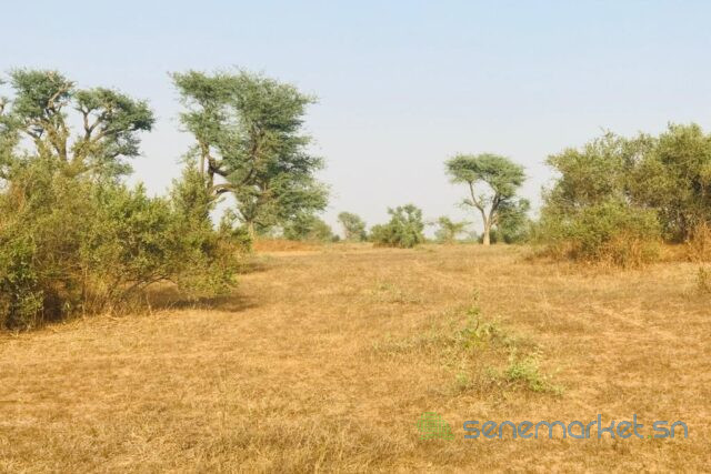 terrain-agricole-de-39-hectares-vers-koul-big-0