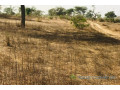 terrain-agricole-de-7406-m2-vers-meouane-small-1