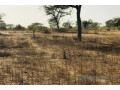 terrain-agricole-de-7406-m2-vers-meouane-small-2