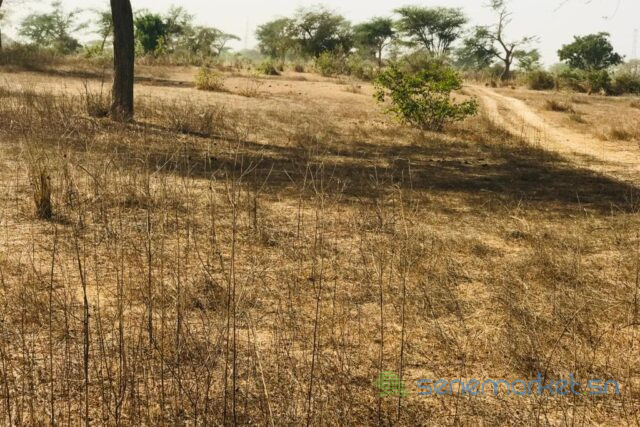 terrain-agricole-de-7406-m2-vers-meouane-big-1