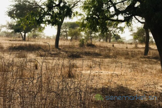 terrain-agricole-de-7406-m2-vers-meouane-big-0