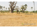 terrain-agricole-de-9103-m2-a-fimela-small-2