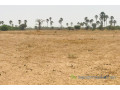 terrain-agricole-de-9103-m2-a-fimela-small-0