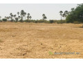terrain-agricole-de-9103-m2-a-fimela-small-1