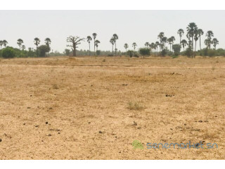 Terrain agricole de 9103 m² à Fimela