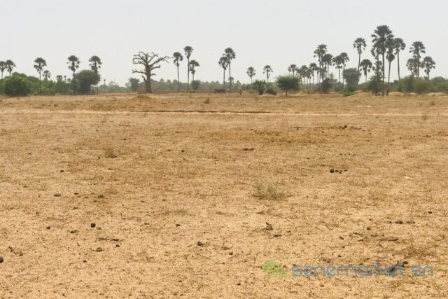 terrain-agricole-de-9103-m2-a-fimela-big-0