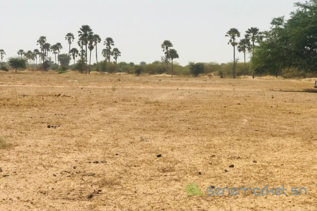 terrain-agricole-de-9103-m2-a-fimela-big-1