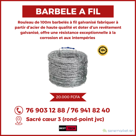 vente-et-installation-des-barbeles-a-lame-et-a-fil-au-senegal-big-0