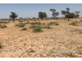 terrain-de-1-hectare-vers-khombole-small-0