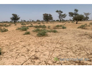 Terrain de 1 hectare vers Khombole