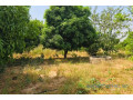 ferme-avicole-de-5260-m2-vers-fandene-small-1