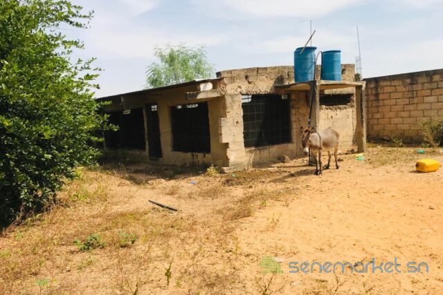 ferme-avicole-de-5260-m2-vers-fandene-big-2