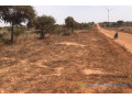 terrain-de-1-hectare-vers-taiba-ndiaye-small-1