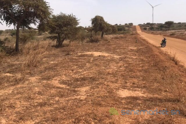 terrain-de-1-hectare-vers-taiba-ndiaye-big-1