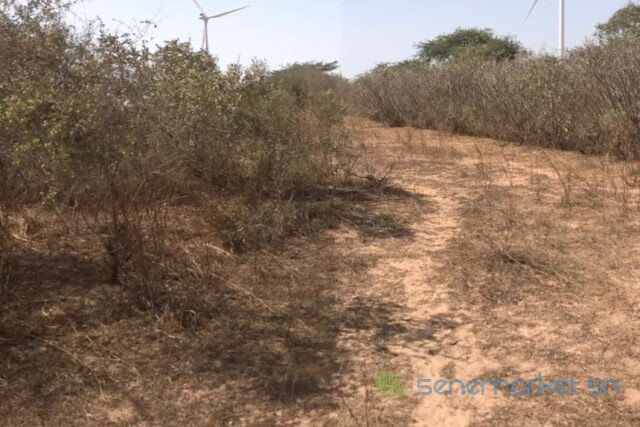 terrain-de-1-hectare-vers-taiba-ndiaye-big-0