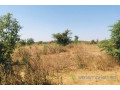 terrain-de-111-hectare-vers-notto-diobass-small-1