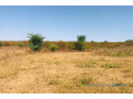 terrain-de-111-hectare-vers-notto-diobass-small-0