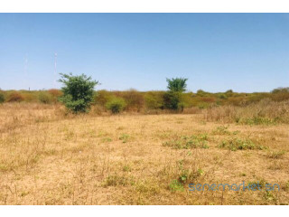 Terrain de 1,11 hectare vers Notto Diobass