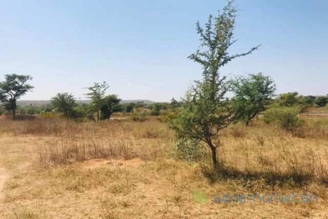 terrain-de-111-hectare-vers-notto-diobass-big-2