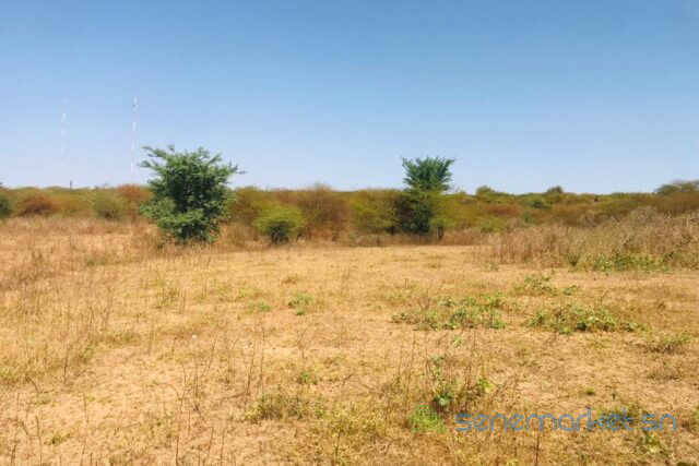 terrain-de-111-hectare-vers-notto-diobass-big-0